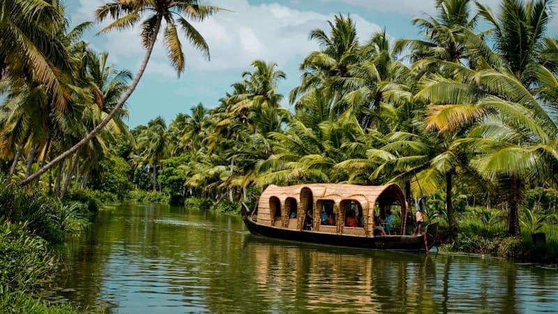 Tranquil Kerala backwaters with palm trees